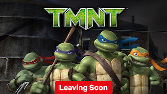 Teenage Mutant Ninja Turtles (2007)