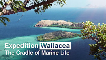 Expedition Wallacea – The Cradle of Marine Life (2007)