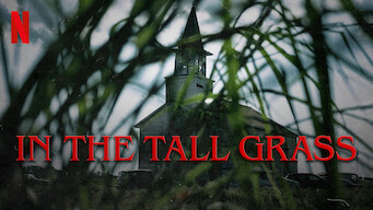 In the Tall Grass (2019)