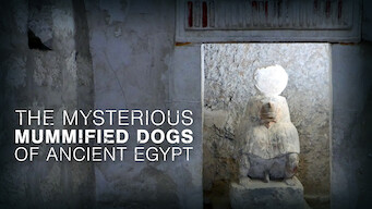 The Mysterious Mummified Dogs of Ancient Egypt (2019)